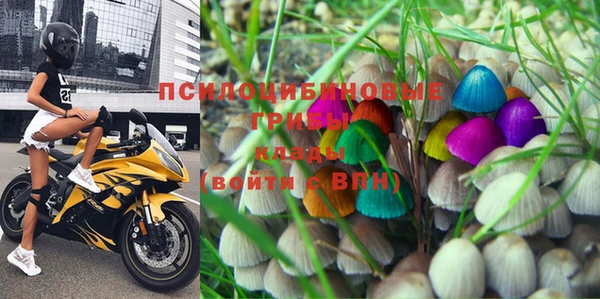 МДПВ Нефтекумск